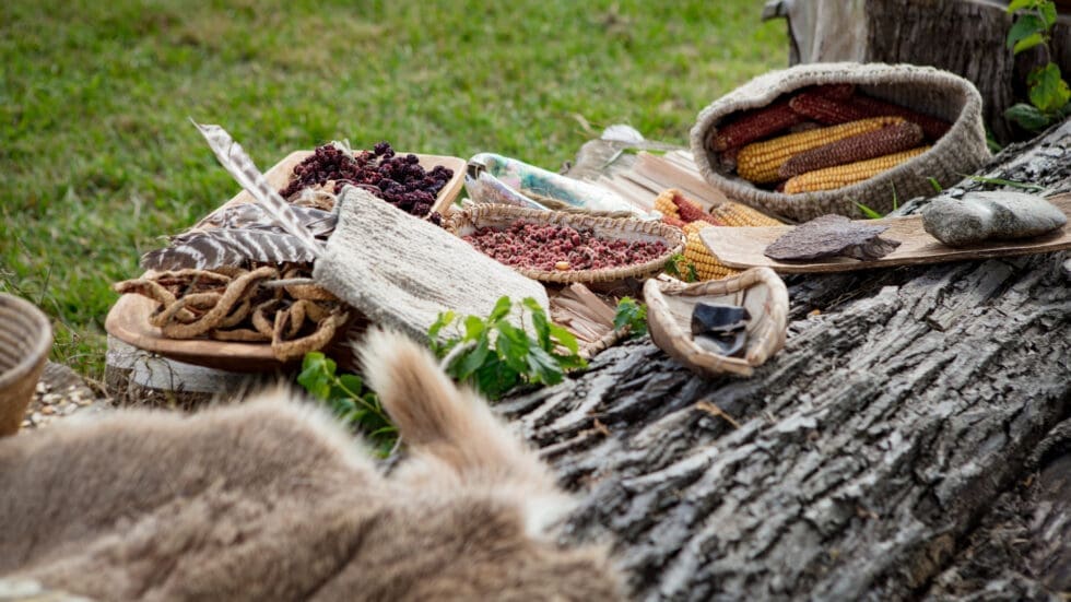 Indigenous food and natural materials displayed on a weathered log outdoors, including dried berries, corn, seeds, and feathers