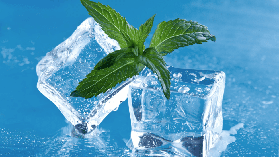 Two clear melting ice cubes with a fresh green mint sprig standing upright between them, set against a vibrant blue background with droplets of water.